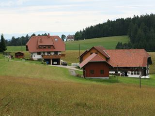 Der Hof